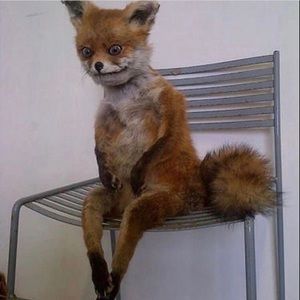 Meet your Posher, Journey